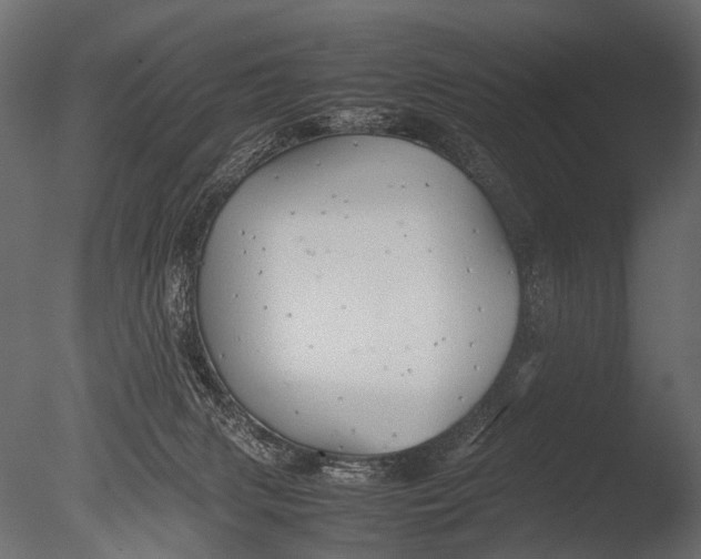 X0000085070079200703261243