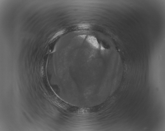 X0000085070080200703261243