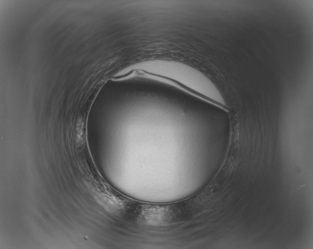 X0000085070081200703261243