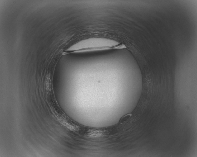 X0000085070083200703261243