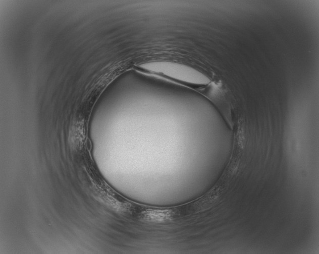 X0000085070085200703261243