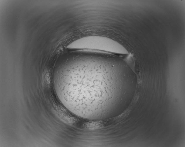 X0000085070086200703261243