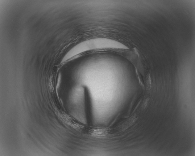 X0000085070088200703261243