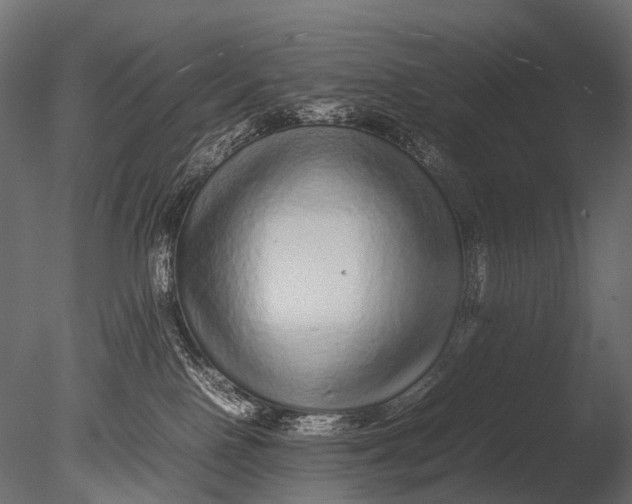 X0000085070090200703261243