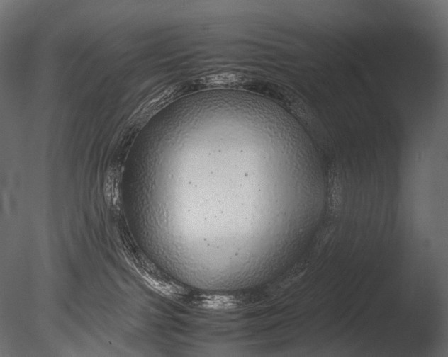 X0000085070091200703261243