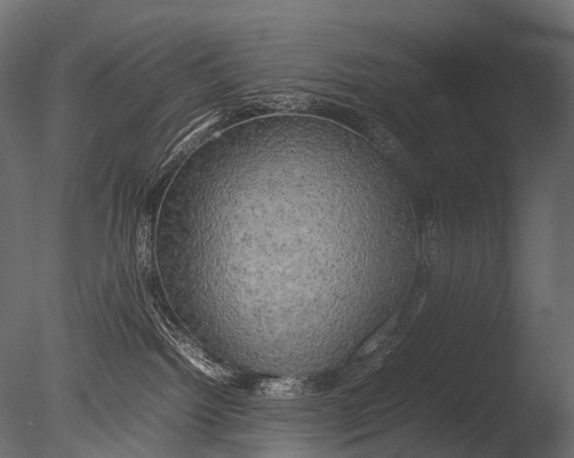 X0000085070092200703261243