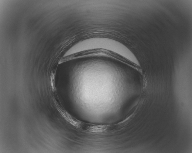 X0000085070094200703261243