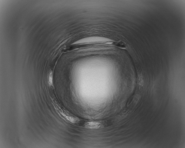 X0000085070095200703261243