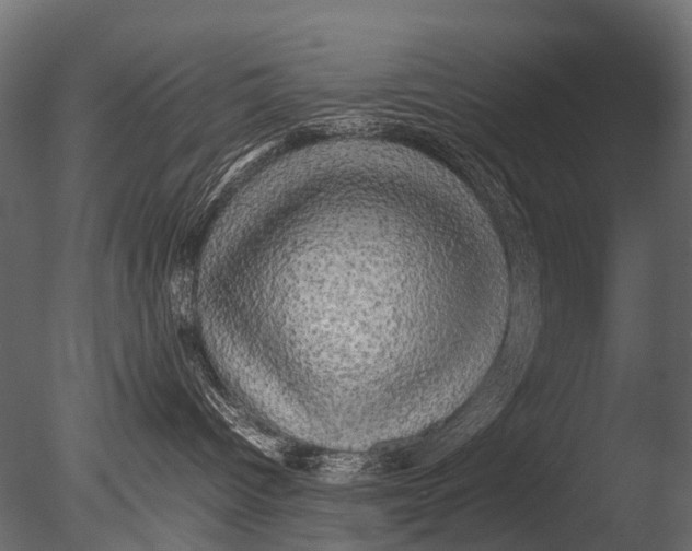 X0000085070096200703261243