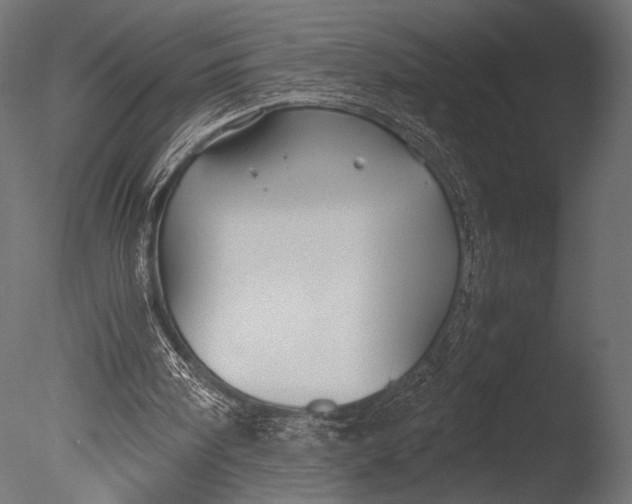 X0000085070098200703261242