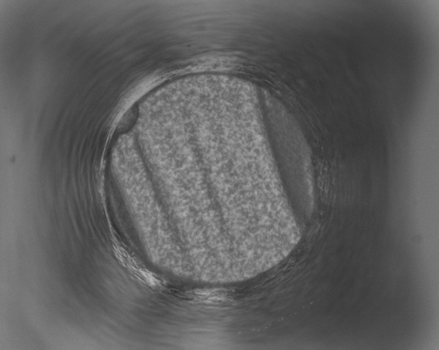 X0000085070100200703261242