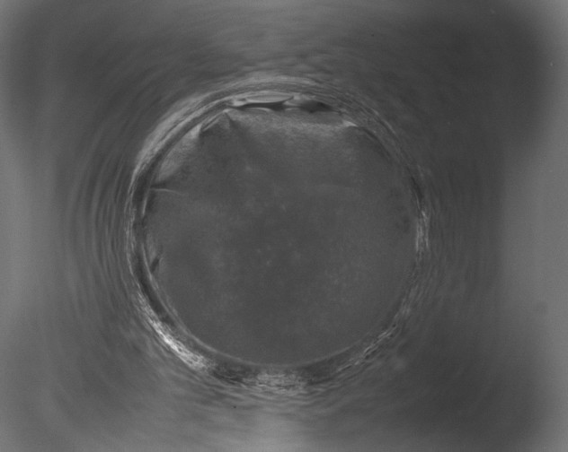 X0000085070101200703261242