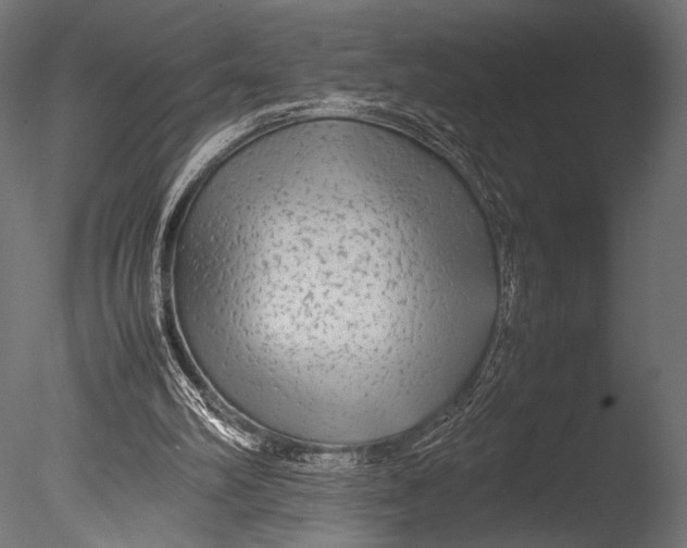 X0000085070102200703261242