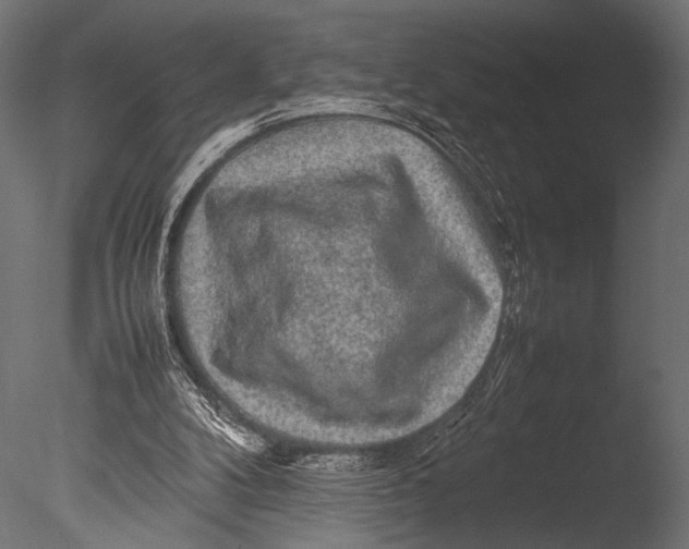 X0000085070104200703261242