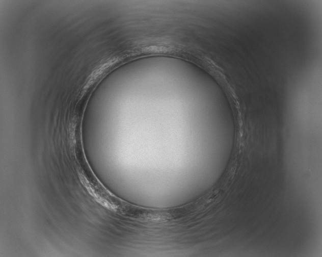 X0000085070106200703261242