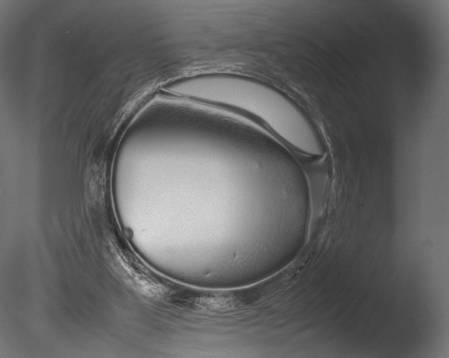 X0000085070107200703261242