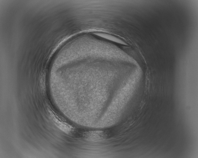 X0000085070108200703261242