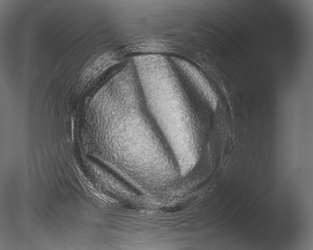 X0000085070109200703261242