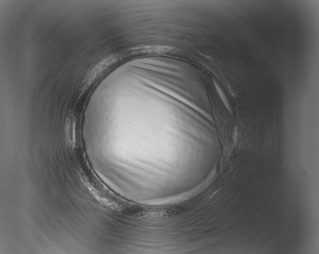 X0000085070110200703261242