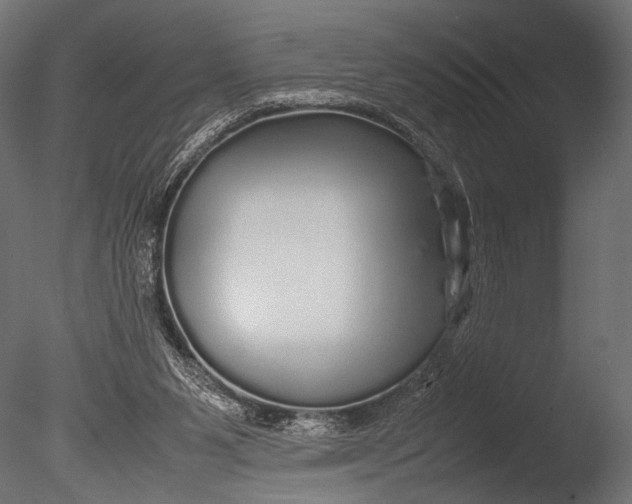 X0000085070111200703261242