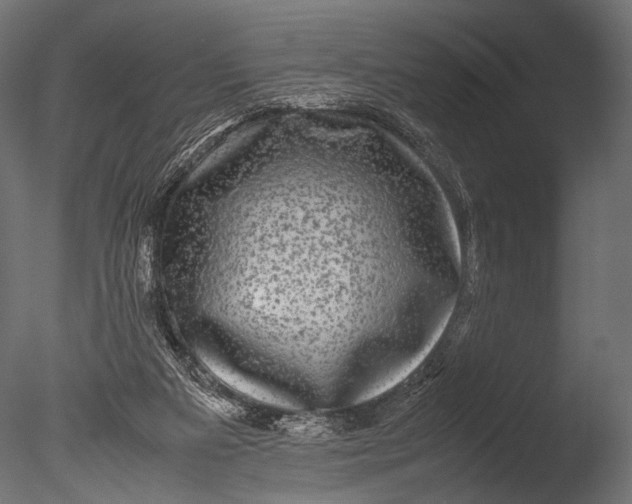 X0000085070113200703261242