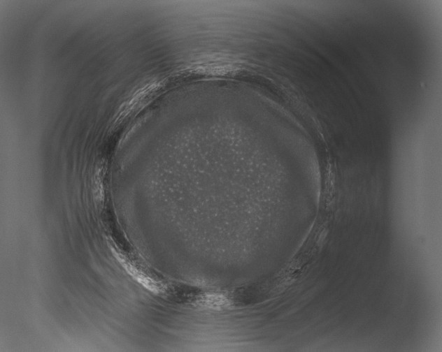 X0000085070114200703261242