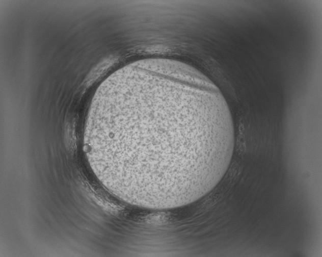 X0000085070116200703261242