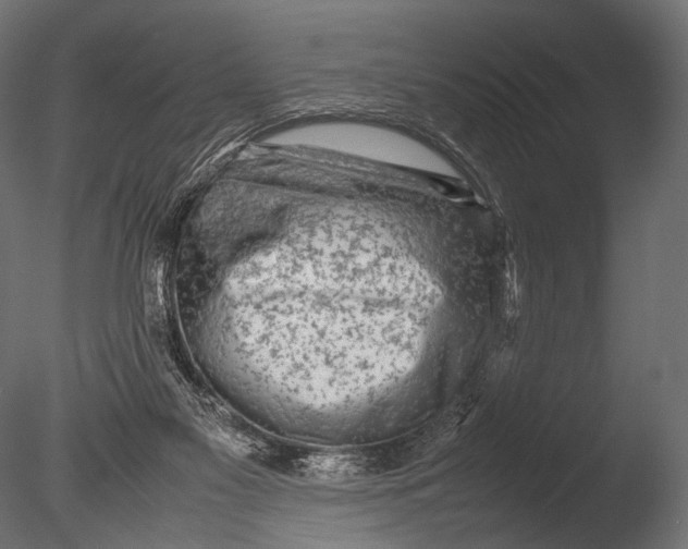 X0000085070117200703261242