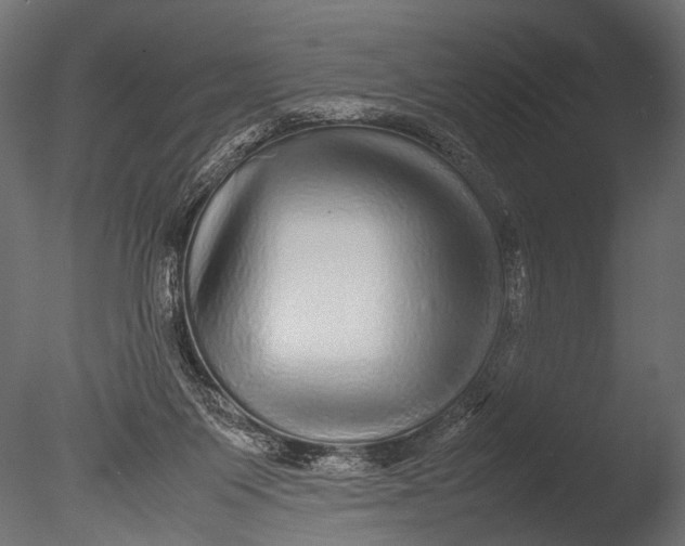 X0000085070119200703261242