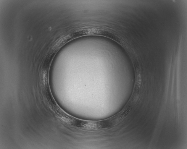 X0000085070123200703261242