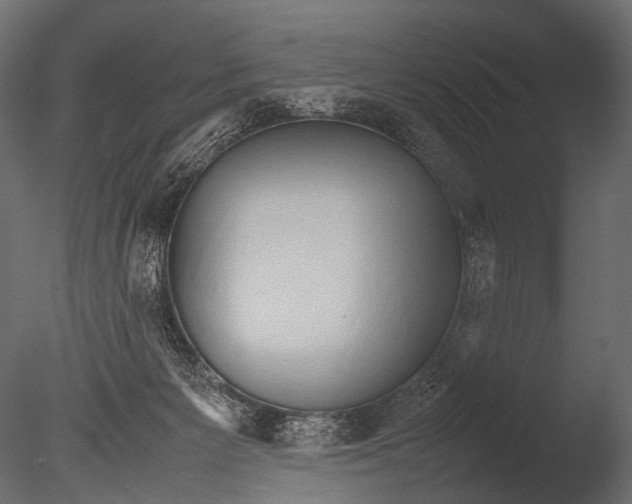 X0000085070125200703261242