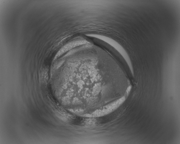 X0000085070127200703261242