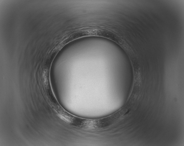 X0000085070131200703261241