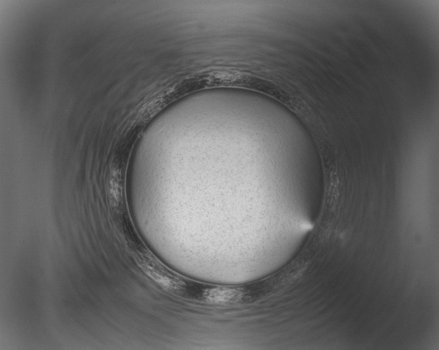 X0000085070135200703261241