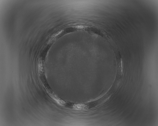 X0000085070137200703261241