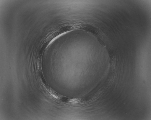 X0000085070139200703261241