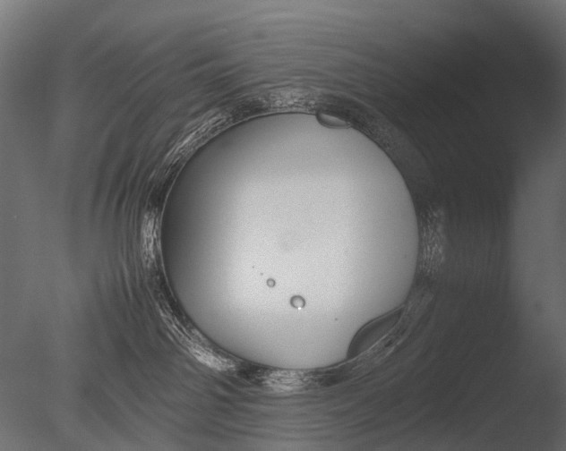 X0000085070142200703261241