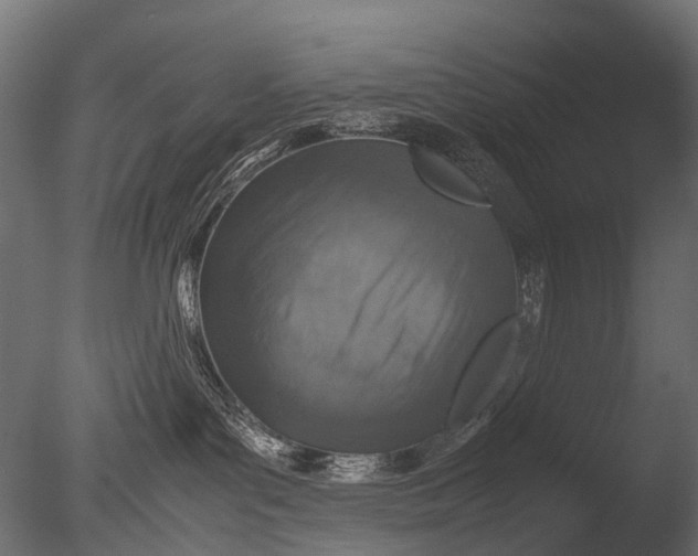 X0000085070143200703261241