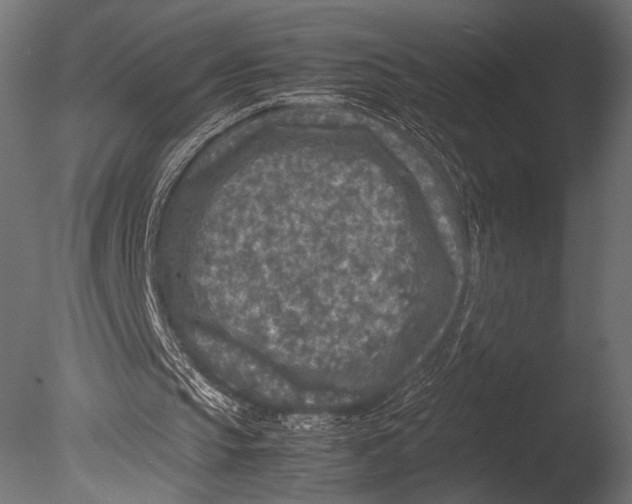 X0000085070145200703261240