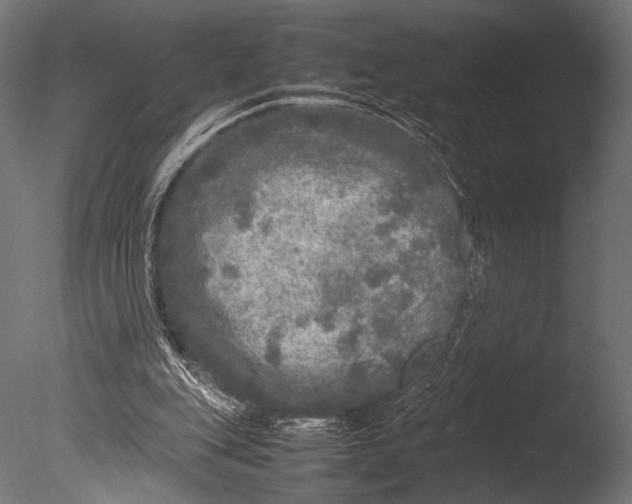 X0000085070151200703261241