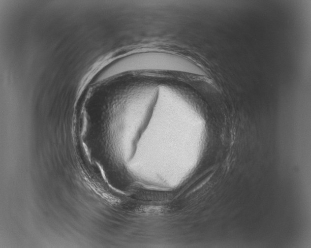 X0000085070152200703261241