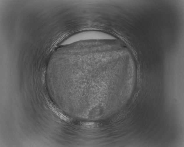 X0000085070153200703261241