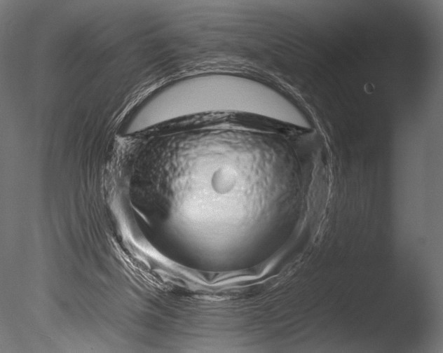 X0000085070154200703261241