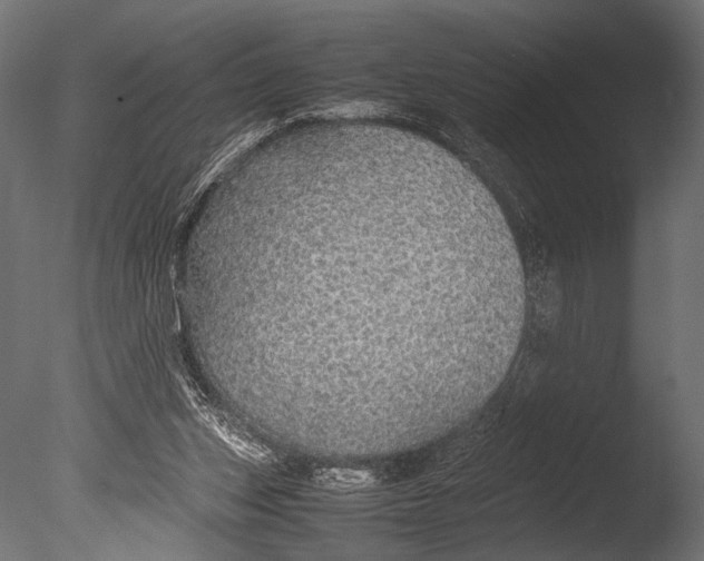 X0000085070159200703261241