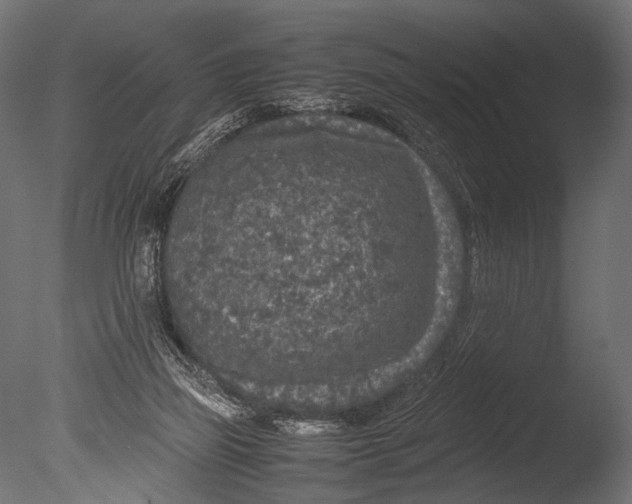 X0000085070165200703261241