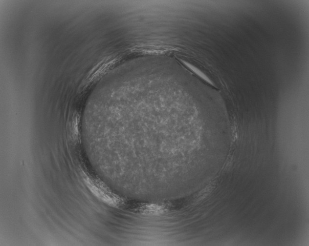 X0000085070166200703261241