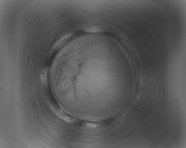 X0000085070167200703261241