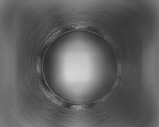 X0000085070170200703261241