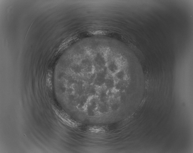 X0000085070175200703261241