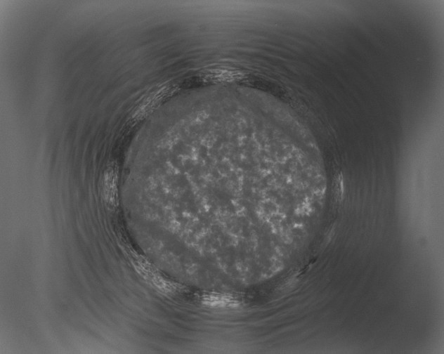 X0000085070177200703261241